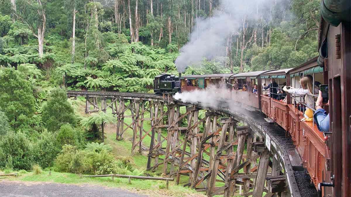 train crossing bridge in rainforest