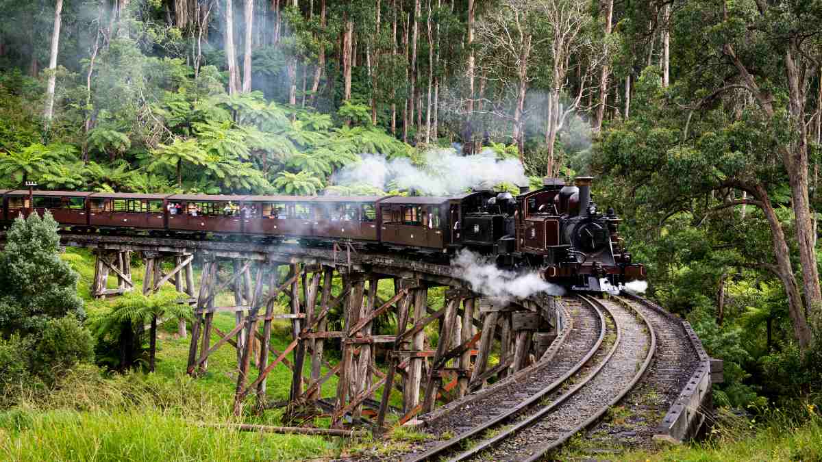 Puffing Billy train on trestle bridge with steam billowing