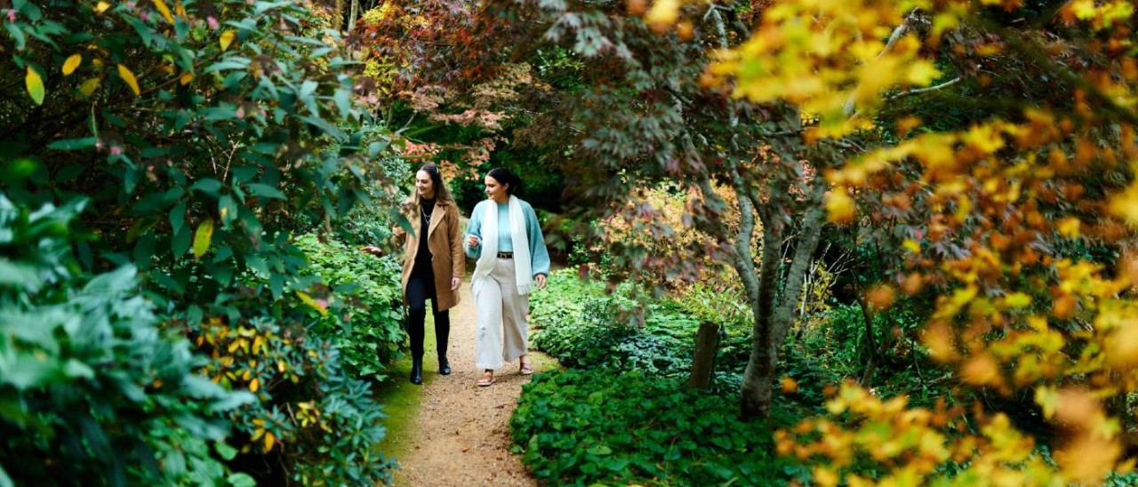 two women walking on gravel path through lush gardens