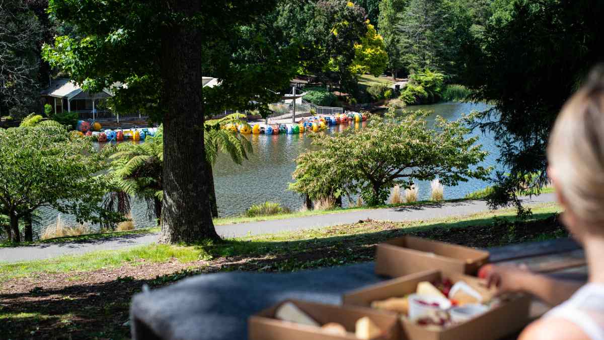 Picnic at Emerald Lake Park