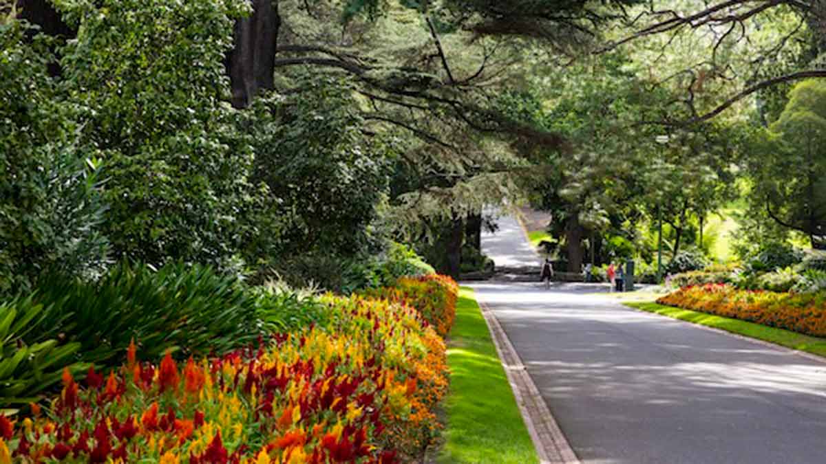 Wide path flanked by colourful flowers and trees in the Fitzroy Gardens in Melbourne.