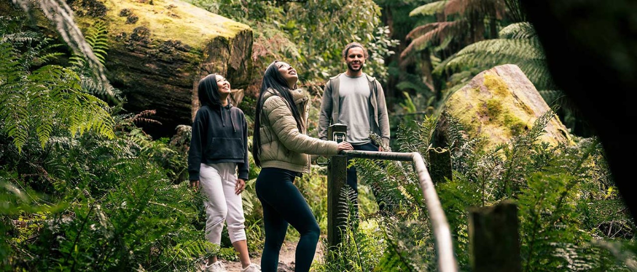 Three people on bush walking track