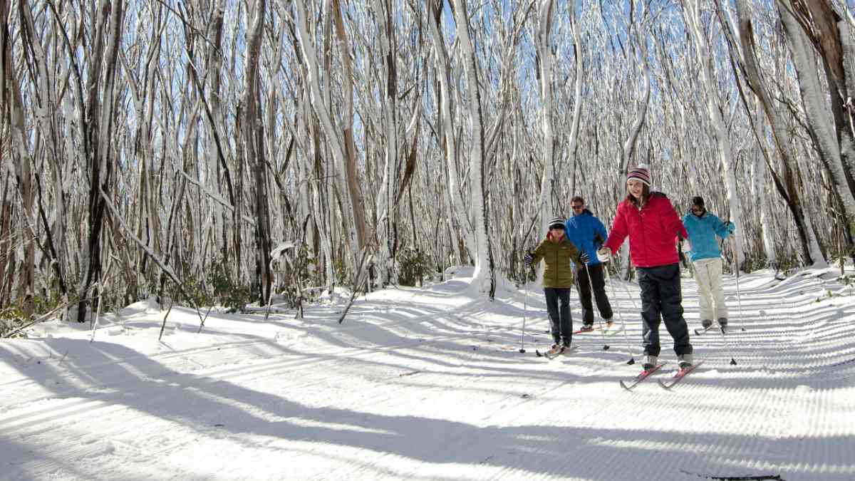 four friends skiing on a trail at Lake Mountain, Victoria