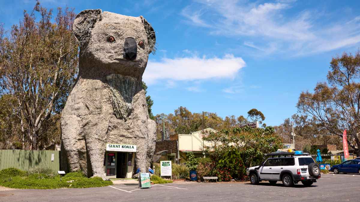 The Giant Koala at Dadswell Bridge