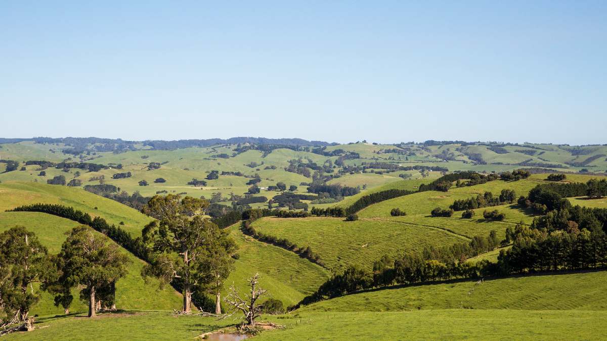 rolling green hills