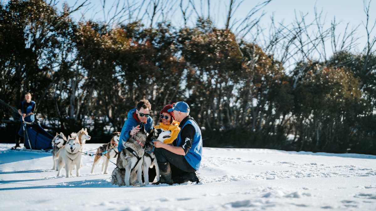 three people cuddling sled dogs in the snow
