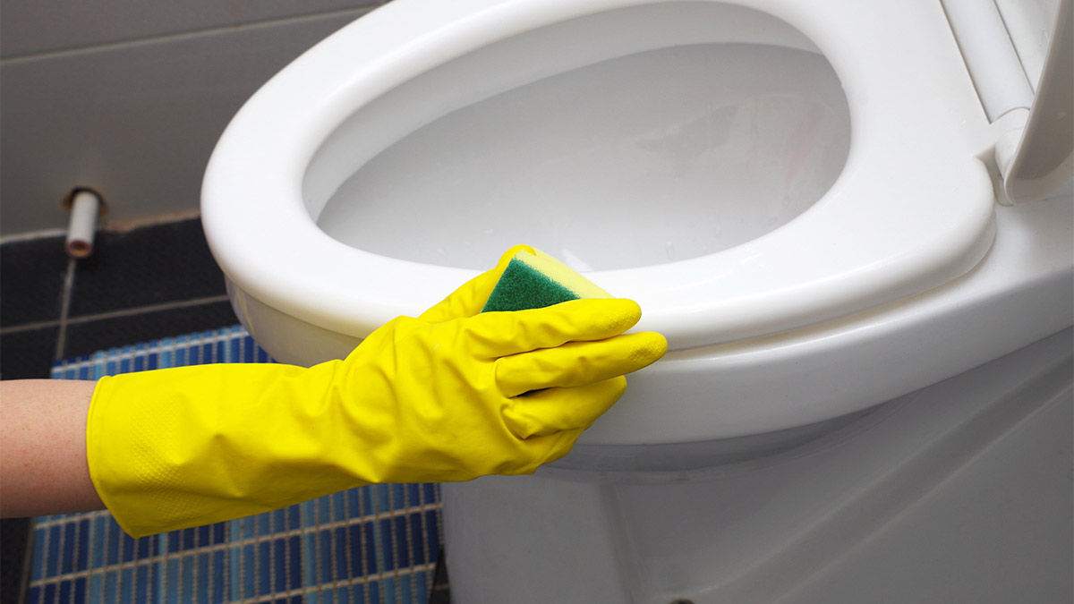Person cleaning outside of toilet with a sponge