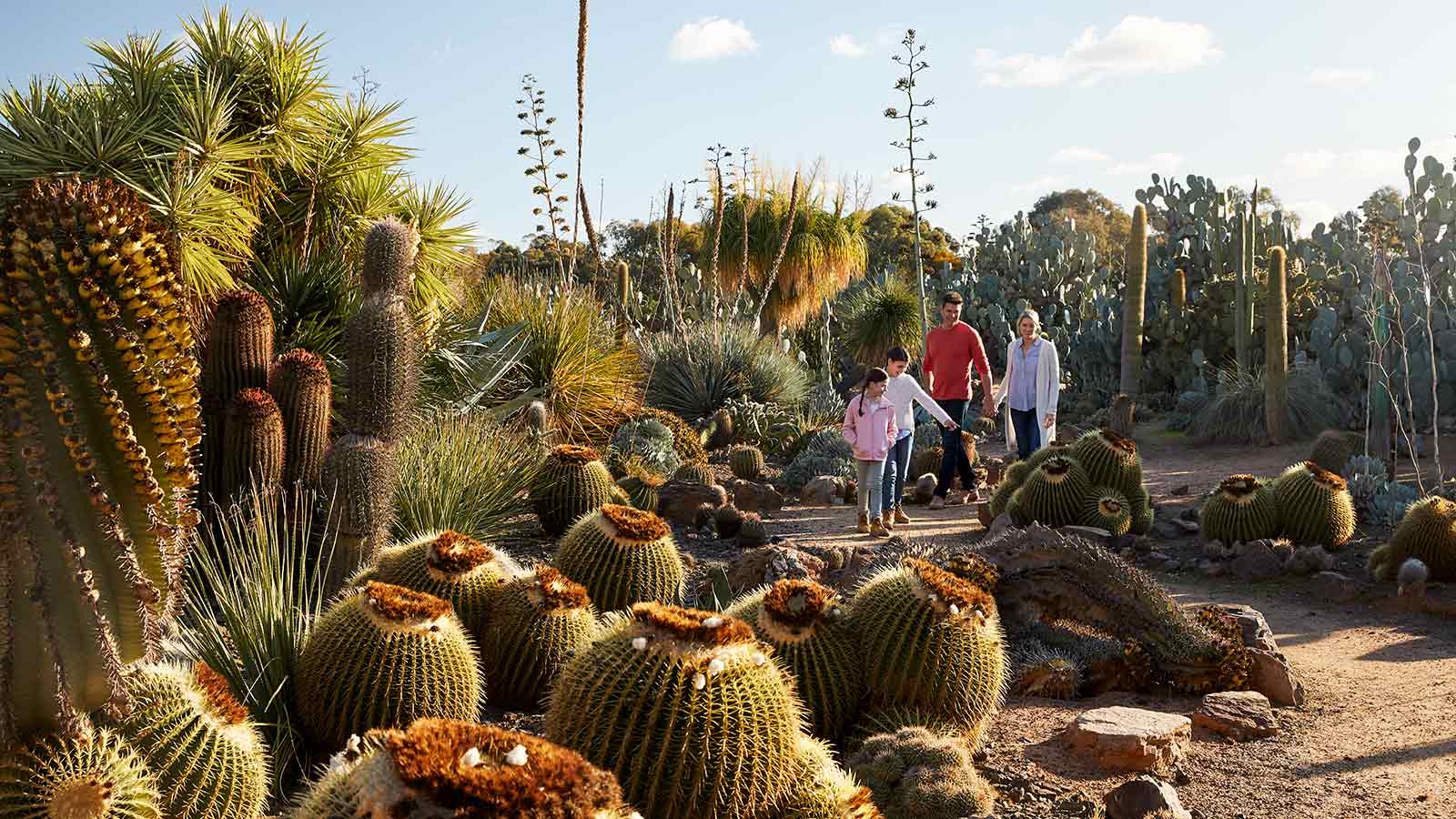Family walking through Cactus Country in Cobram.