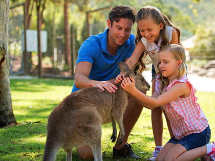 Family of three petting a kangaroo.