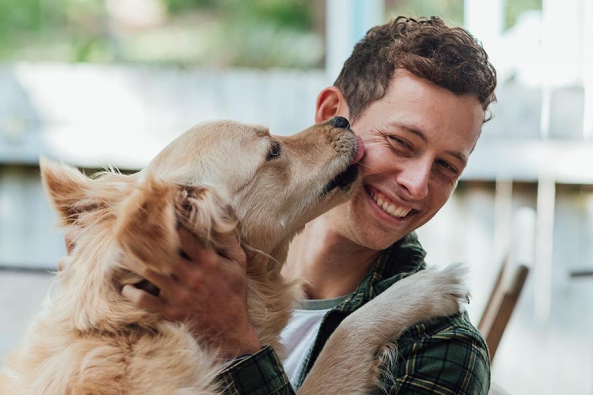 dog on a paddleboard