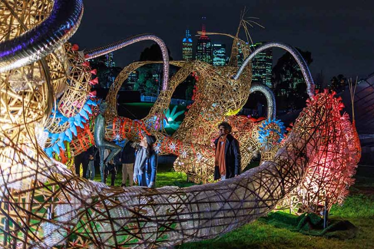 Light show with people in park at night
