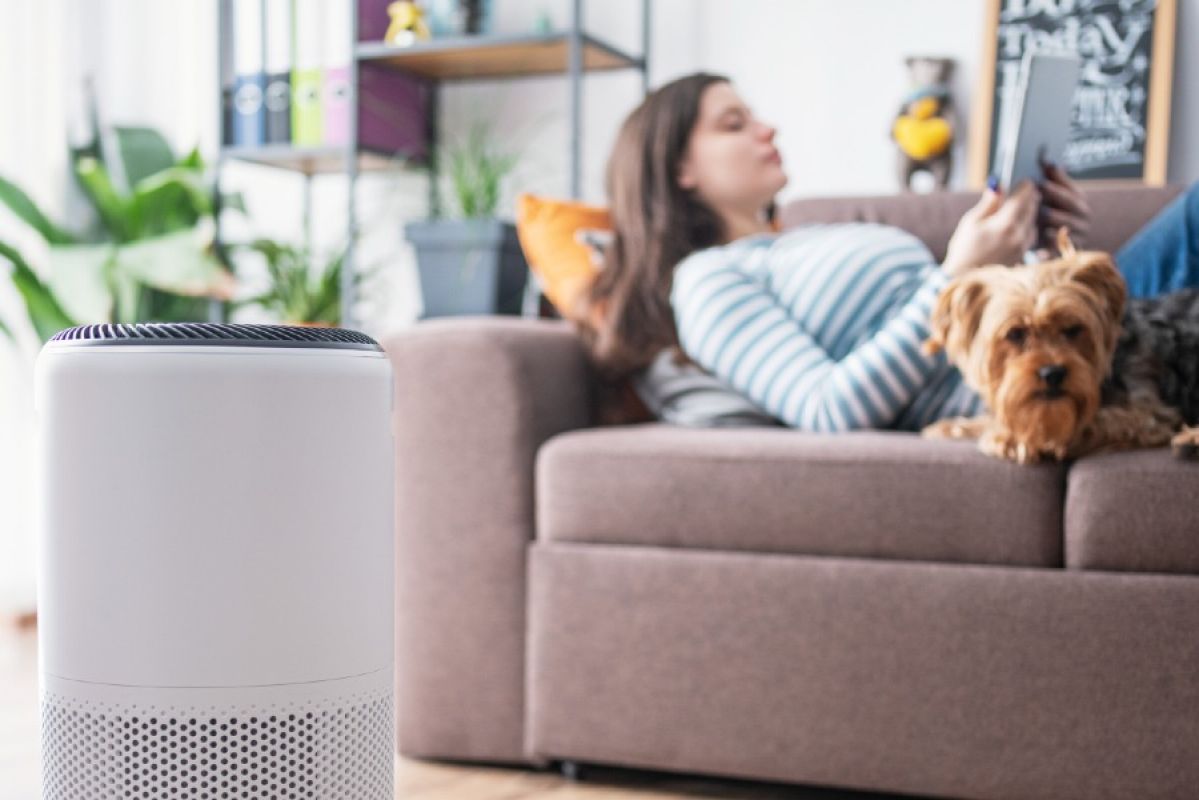 woman lying on couch with dog, air purifier in foreground