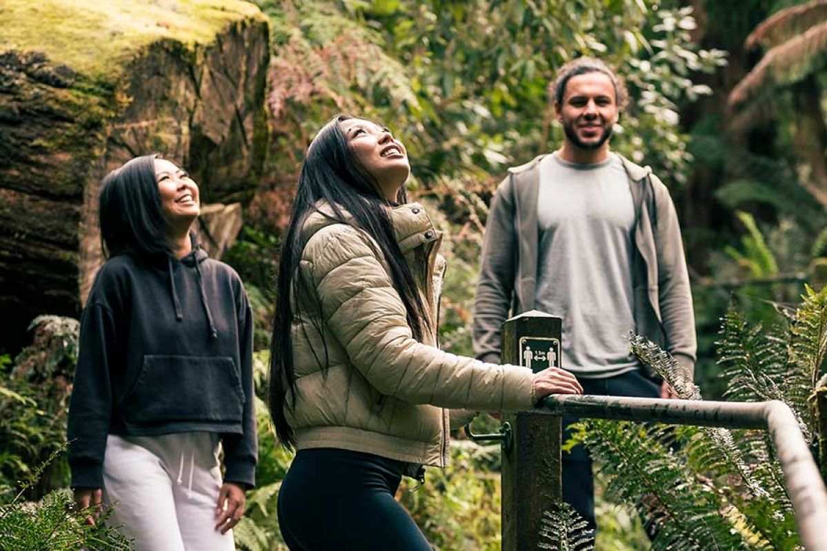 Three people on bush walking track
