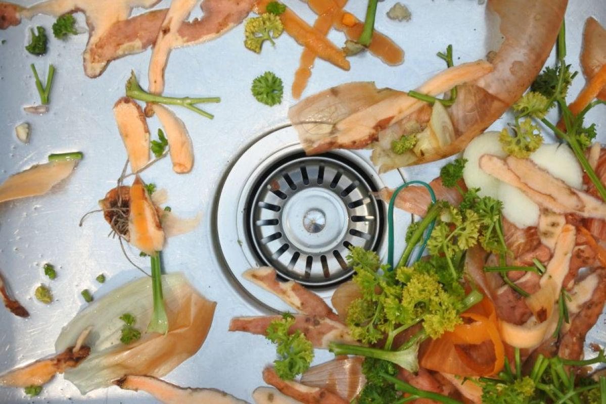 food scraps in kitchen sink