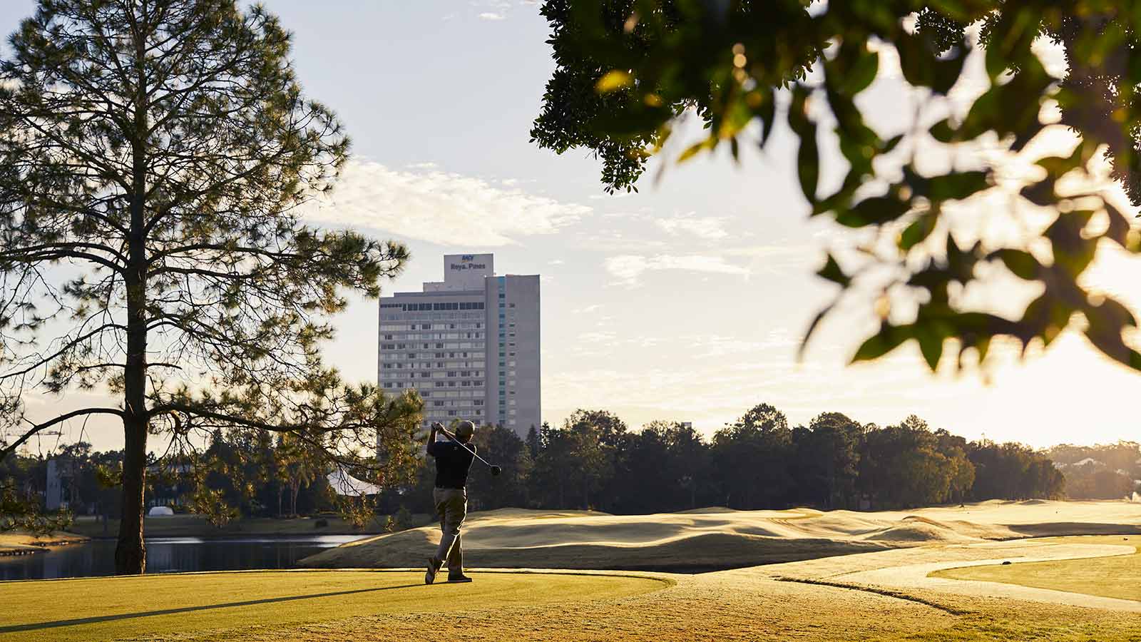 Man playing golf at RACV's Royal Pines golf course.