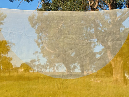 Painting by Sangeeta S of Australian bushland overlaid with a transparent cloth.