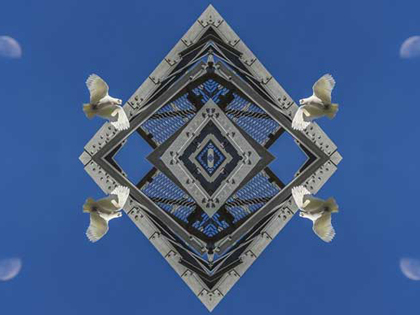 Shapes and bird images mirrored to create a kaleidoscope effect.