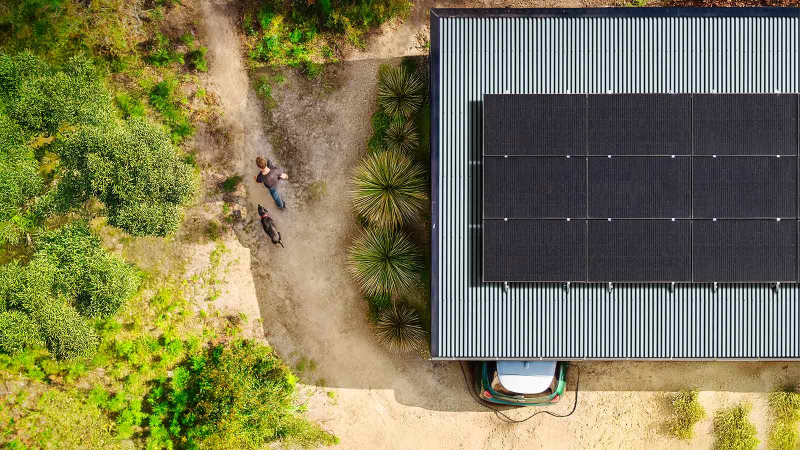 A person and their dog walking on a dirt path beside a building with RACV-installed solar panels on its roof.