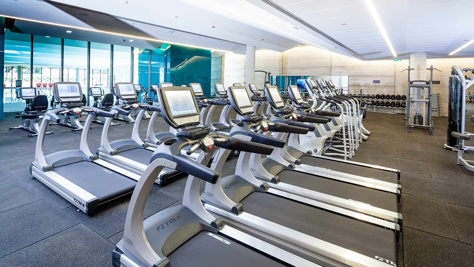 Rows of treadmills facing the indoor pool at RACV Torquay Resort's One Lifestyle fitness centre.