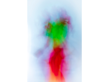 winterblooom-420x315